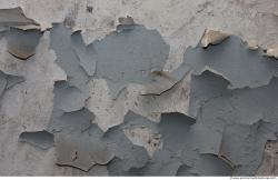 Walls Plaster